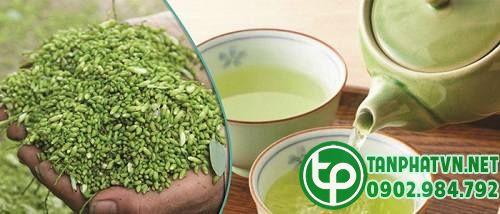 trà hòe trị bệnh khó ngủ