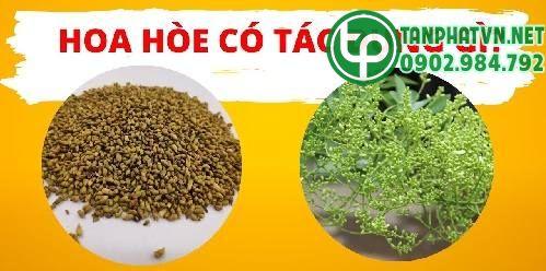 hoa hòe có tác dụng 