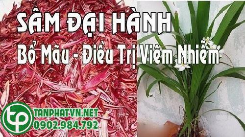 Sâm đại hành giúp bổ máu