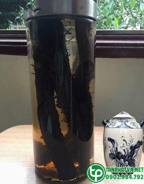 rượu nhục thung dung