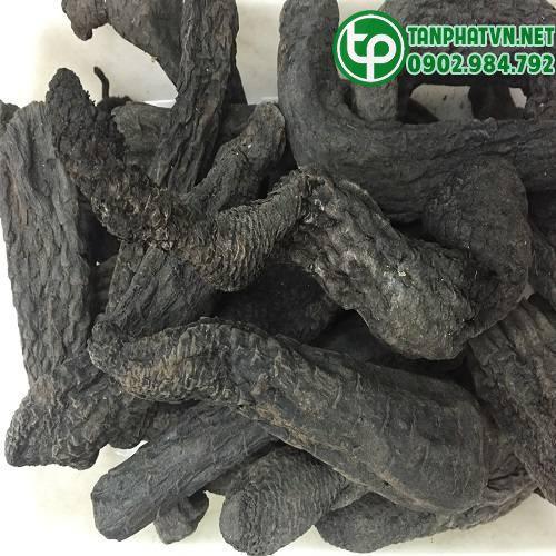 nhục thung dung sấy khô