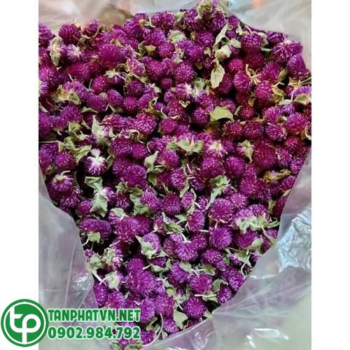 Địa chỉ bán hoa cúc bách nhật khô Địa chỉ bán hoa cúc bách nhật khô