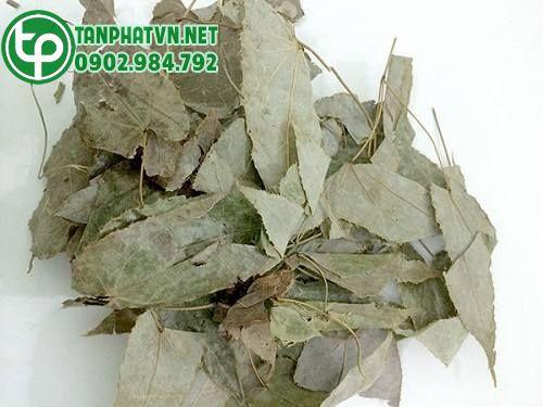 dâm dương hoắc sấy khô