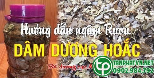 ngâm rượu dâm dương hoắc