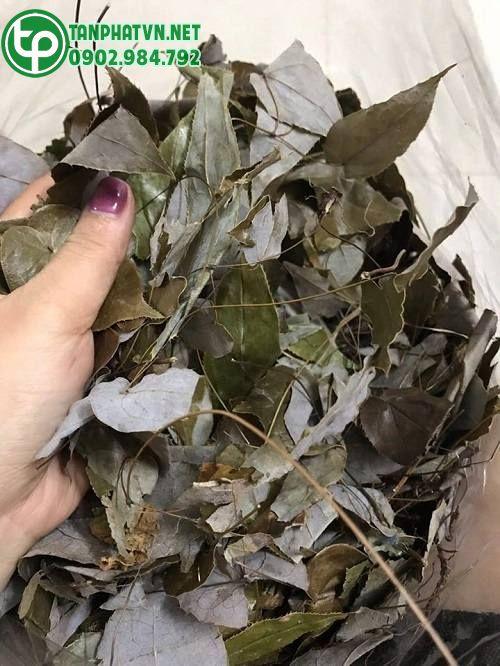 dâm dương hoắc sấy