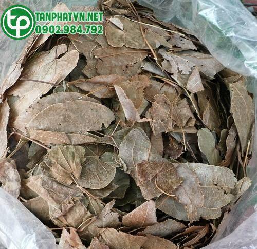 lá dương hoắc khô