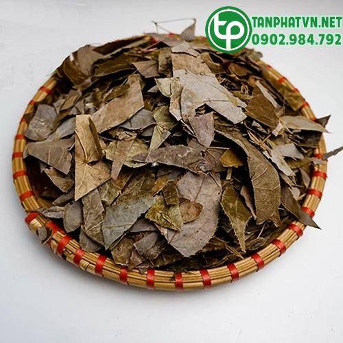 dương hoắc khô