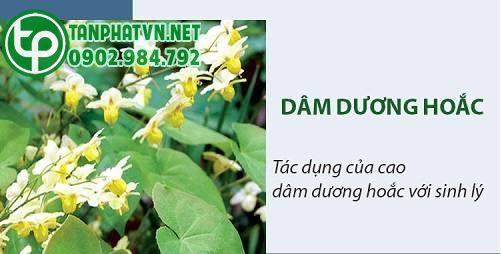 những tác dụng của dâm dương