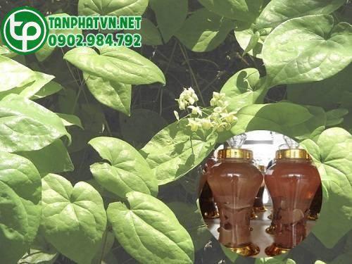 dâm dương hoắc tươi