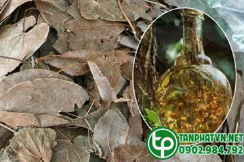 rượu dâm dương hoắc