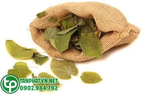 lá dâm dương hoắc