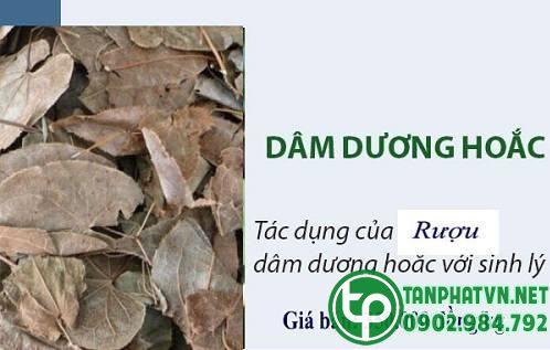 dược liệu tanphat