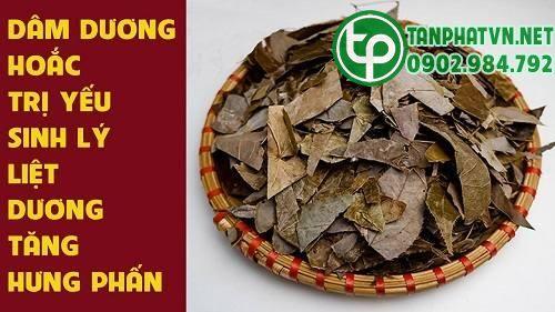 công dụng chính của dâm dương hoắc