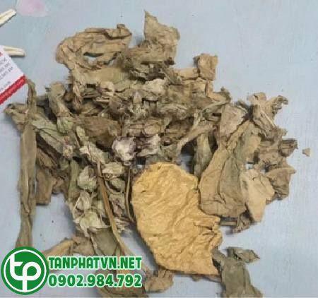 Mua Cây Lá hen Tại Nhà Bè Ở Đâu