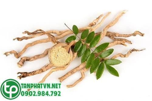 dược liệu mật nhân sấy khô