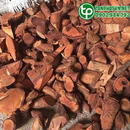 Mua Rễ Cây Mú Từn Tại Ninh Bình