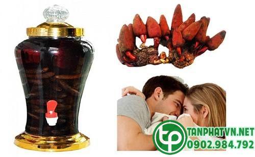 dược liệu cải thiện vấn đề vợ chồng