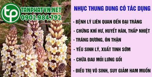 công dụng của nhục thung dung