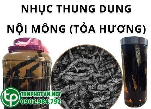 ngâm rượu nhục thung dung