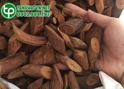 mú từn dược liệu