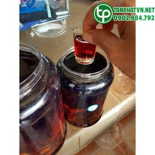 cách ngâm rượu dược liệu