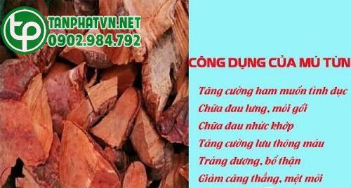 công dụng của mú từn