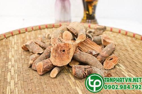 rễ cây mú từn