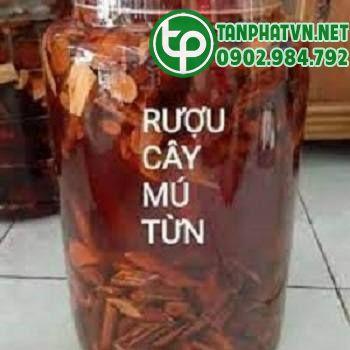 rượu ngâm