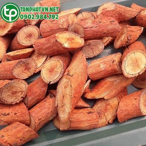 Mua rễ mú từn khô ở HCM