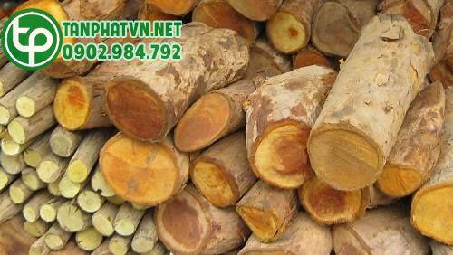 mật nhân khô