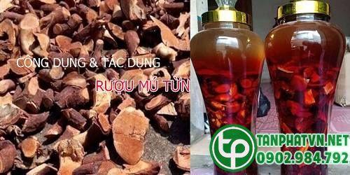 ngâm rượu dược liệu