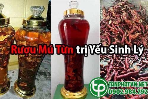 rễ mú từn