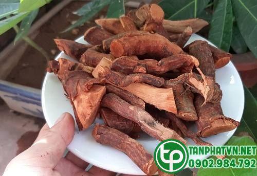 Địa Chỉ Bán Rễ Cây Mú Từn Tại Tây Ninh