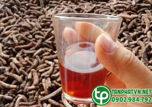 Chuối hột rừng ép bánh ngâm rượu