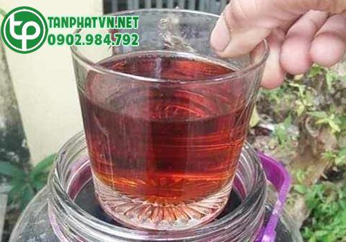 Chuối hột rừng ép bánh ngâm rượu