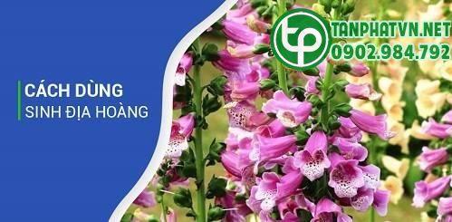 các bài thuốc sinh địa hoàng