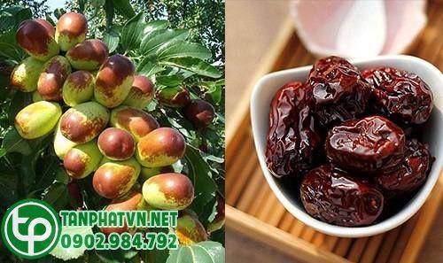 đặc điểm của táo đỏ