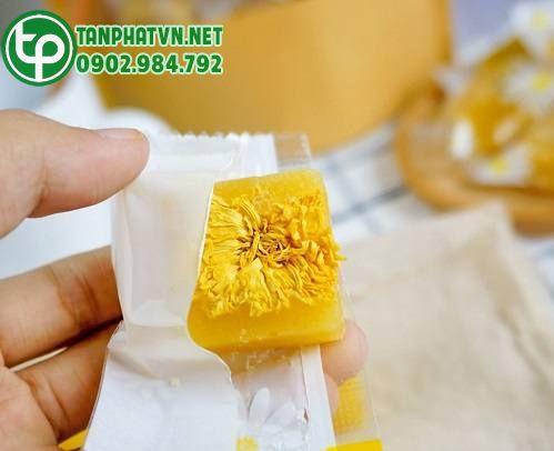 hoa cúc đường phèn