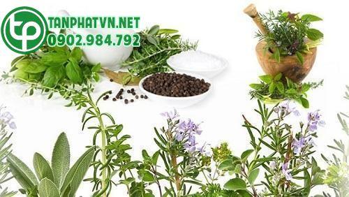 Bài thuốc của cây nổ