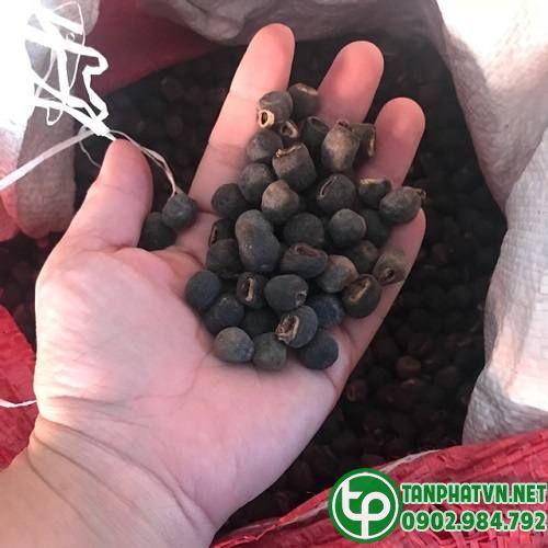 Địa chỉ bán hạt chuối cô đơn tại Tân Phú ở đâu uy tín
