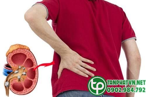 Mua Hạt Chuối Cô Đơn Tại Nhà Bè Mua Hạt Chuối Cô Đơn Tại Nhà Bè