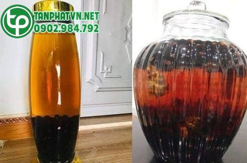 Mua Hạt Chuối Cô Đơn Tại Sài Gòn Mua Hạt Chuối Cô Đơn Tại Sài Gòn