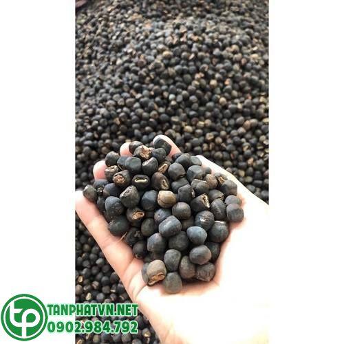 Địa chỉ bán hạt chuối cô đơn tại Bến Tre ở đâu chất lượng