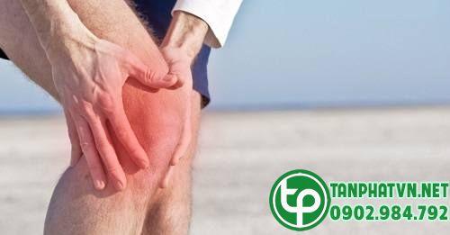 Mua Hạt Chuối Cô Đơn Tại Vĩnh Long Ở Đâu
