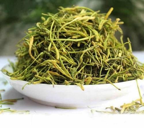 Mua kim ngân hoa ở đâu? Mua kim ngân hoa ở đâu?