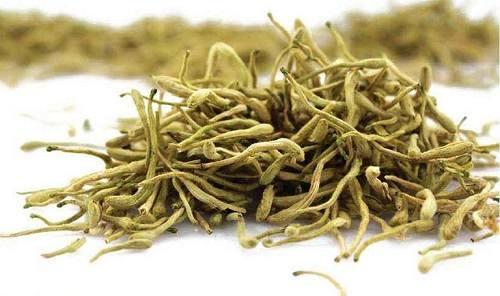 Tác dụng của kim ngân hoa Tác dụng của kim ngân hoa