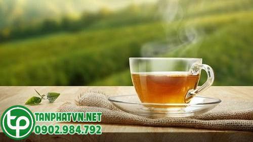 Mua Cây Lá hen Tại Hải Phòng Ở Đâu