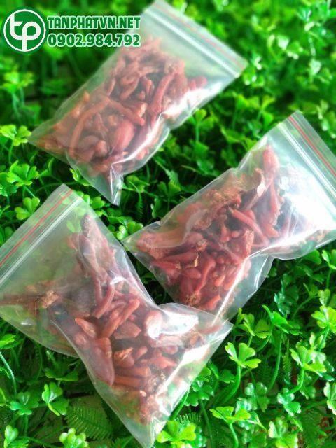 Địa chỉ bán mủ gòn tại Bình Chánh ở đâu