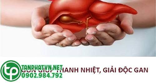 Mua Mủ Gòn Tại Gò Vấp Ở Đâu