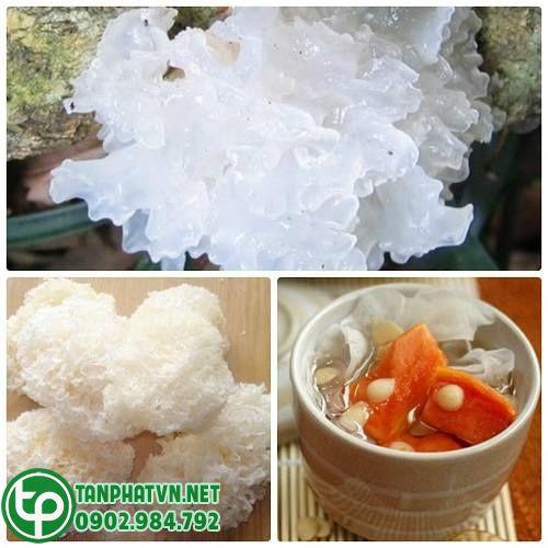 Mua Nấm Tuyết Khô Tại Tiền Giang 